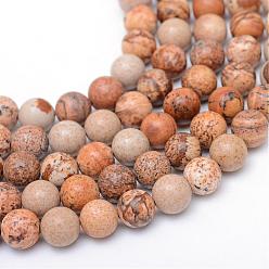 Jaspe Image Rondes image naturelle brins jaspe de perles, 8~9mm, Trou: 1mm, Environ 46 pcs/chapelet, 15.3 pouce