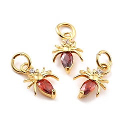 Шоколадный Латунные микро проложить кубического циркония прелести, реальный 18 k позолоченный, без кадмия и без свинца, насекомое, цвет шоколада, 12x8x2 мм, отверстие : 3.8 мм