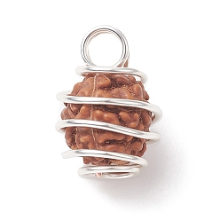Silver Natural Rudraksha Copper Wire Wrapped Pendants, Barrel Charms, Undyed, Silver, 15~17.5x11~12x10.5~11.5mm, Hole: 3mm