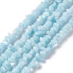 White Jade Natural White Jade Chip Beads Strands, Imitation Aquamarine, Dyed, 5~19.5x3~8.5x1.5~7.5mm, Hole: 1mm, about 221~293pcs/strand, 31.10~32.68 inch(79~83cm)