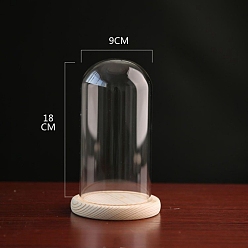 Прозрачный Стеклянный купол, декоративная витрина, колокол баночка террариум с деревянной основой, прозрачные, 90x180 мм