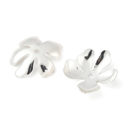 Серебро Шапочки и конусы для бусин, латунные, 5-лепестков цветка, серебряные, 20.5x19.5x4.5 мм, отверстие : 2 мм