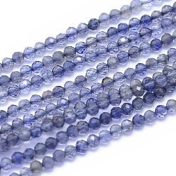 Iolite Natural Iolite Beads Strands, Faceted, Round, 2.5mm, Hole: 0.6mm, about 160pcs/strand, 15.75 inch(40cm)