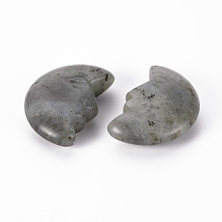 Labradorite Natural Labradorite Beads, No Hole/Undrilled, Moon, 29.5~30.5x21x9.5mm