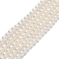 Beige Natural Cultured Freshwater Pearl Beads Strands, Potato, Beige, 3.5~4x4~5x4~4.5mm, Hole: 0.5mm, about 100pcs/strand, 15.35 inch(39cm)