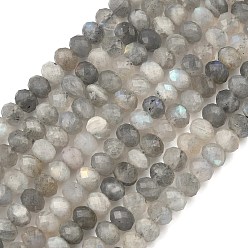 Лабрадорита Натуральные лабрадоритные жгуты из бисера, класс АА, граненые, 6x4 мм, отверстие : 1 мм, около 80 шт / нитка, 15 дюйм