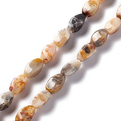 Crazy Agate Natural Crazy Agate Beads Strands, Twist, 12x6x6mm, Hole: 1mm, about 33~34pcs/strand, 15.39''~15.98''(39.1~40.6cm)