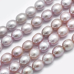 Thistle Natural Cultured Freshwater Pearl Beads Strands, Oval, Thistle, 6.5~7x5.5~6mm, Hole: 0.8mm, about 44pcs/strand, 14.17 inch(36cm)