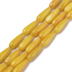 Gold Natural Freshwater Shell Beads Strands, Dyed, Teardrop, Gold, 15.5x5mm, Hole: 0.4mm, about 25pcs/strand, 15.08''(38.3cm)