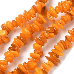 Золотистый Естественных пресноводных оболочки бисер нитей, чип, окрашенные, золотые, 6~16x4~8x1~7 мм, отверстие : 1 мм, около 97~157 шт / нитка, 15.75 дюйм (40 см)