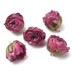 Medium Orchid Brass Epoxy Resin Pendants, Inner Dried Flower Pendants, Rose Flower Charm, with Golden Loop, Medium Orchid, 19~27x21~27x19~28.5mm, Hole: 1.6mm