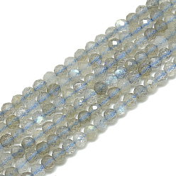 Labradorite Natural Labradorite Beads Strands, Faceted, Round, 3~3.5mm, Hole: 0.3mm, about 128pcs/strand, 14.9 inch
