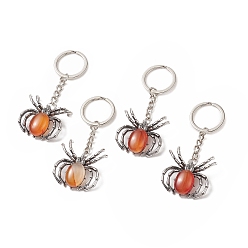 Red Agate Spider Natural  Red Agate Pendant Keychain, with Brass Findings, 7.8~7.9cm