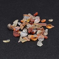 Carnelian Natural Carnelian Chip Beads, No Hole/Undrilled, Dyed & Heated, 2~8x2~4mm, about 8500pcs/500g