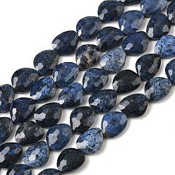 дюмортьерит Натуральные нити из бисера, граненые, слеза, 15~15.5x13~13.5x6.5~7 мм, отверстие : 1.4 мм, около 26 шт / нитка, 14.57'' (37 см)