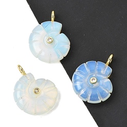 Опал Резные подвески из опалита, Подвески в форме раковины с латунными микропаве из прозрачных кубических цирконий., золотые, стойки покрытие, 34x25~26x10 мм, отверстие : 3.5 мм