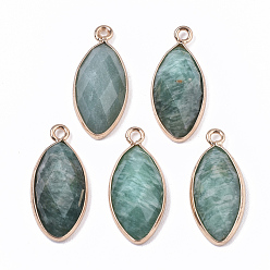 Amazonite Natural Amazonite Pendants, with Golden Plated Edge Brass Findings, Faceted, Horse Eye, 20x9x5mm, Hole: 1.2mm