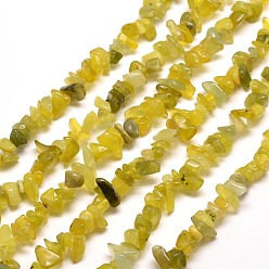 Other Jade Natural Jade Chip Bead Strands, 5~8x5~8mm, Hole: 1mm, about 31.5 inch