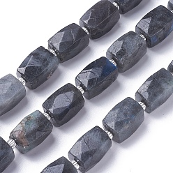 Labradorite Natural Labradorite Beads Strands, Faceted, Cuboid, 16~18x12~14x12~14mm, Hole: 1mm, about 20~21pcs/strand, 15.1 inch~15.5 inch(38.5~39.5cm)