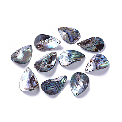 Paua Shell Natural Abalone Shell/Paua Shell Pendants, teardrop, Twist, 28.5~31x18.5~20x1.5~2.5mm, Hole: 1.2~1.4mm