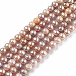 Saddle Brown Natural Cultured Freshwater Pearl Beads Strands, Round, Dyed, Saddle Brown, 5~6x5.5~6mm, Hole: 0.6mm, about 70pcs/strand, 15.55 inch(39.5cm)