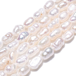 Seashell Color Natural Cultured Freshwater Pearl Beads Strands, Baroque Keshi Pearl Rice Beads, Seashell Color, 2.5~4x2~3mm, Hole: 0.7~0.8mm, about 44~52pcs/strand, 7.09 inch(18cm)