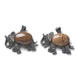 Пейзажный Джаспер Натуральная подвеска из яшмы, с латунной фурнитурой , без свинца и без кадмия, слон, 22.5x33.5x7.5 мм, отверстие : 5.5x4.5 мм