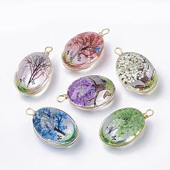 Mixed Color Glass Pendants, with Dried Flower Inside & Brass Findings, Oval, Golden, Mixed Color, 23x13x10mm, Hole: 2mm
