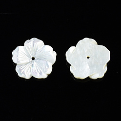 Cáscara Blanca Perlas de concha de nácar blanco natural, flor, 15.5x15.5x2.5 mm, agujero: 1 mm