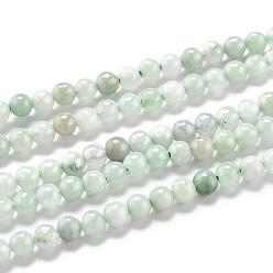 Jadeite Natural Jadeite Beads Strands, Round, 3mm, Hole: 0.6mm, about 118pcs/strand, 15.35 inch(39cm)