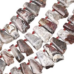 Сумасшедший Агат Натуральные мексиканские бусины из агата «Crazy Lace», неправильная трапеция, Топ пробуренной, 25~40.5x14~24x6~8 мм, отверстие : 1 мм, около 21 шт / нитка, 15.75~16.14'' (40~41 см)