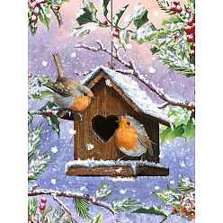 Colorful Christmas Bird House & Holly Leaf DIY Diamond Painting Kit, Including Resin Rhinestones Bag, Diamond Sticky Pen, Tray Plate and Glue Clay, Colorful, 400x300mm