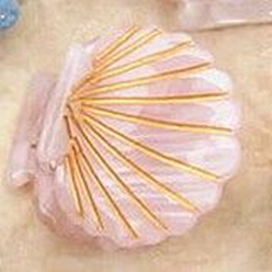 Pink Cellulose Acetate(Resin) Shell Shape Hair Claw Clips, Small Tortoise Shell Hair Clip for Girls Women, Pink, 23.5x26x19mm