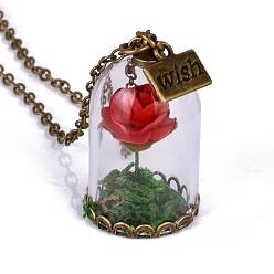 Red Glass Dried Flower Wishing Bottle Pendant Necklace, with Antique Bronze Alloy Cable Chains, Red, 23.62 inch(60cm)