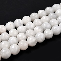 Класс AB Нити из натурального селенита, круглые, класса AB, 10 мм, отверстие : 1 мм, около 39~40 шт / нитка, 15.35~15.75 дюйм (39~40 см)