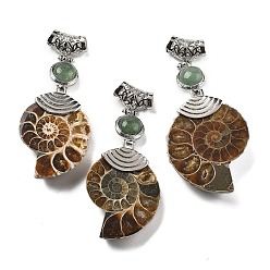 Зеленый Авантюрин Подвески из натурального зеленого авантюрина в виде окаменелой улитки, со сплавочной фурнитурой, Платиновый металл, 58~78x29~35x8~9 мм, отверстие : 4x6 мм