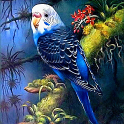 Blue DIY Birds Theme Diamond Painting Kits, Including Canvas, Resin Rhinestones, Diamond Sticky Pen, Tray Plate and Glue Clay, Blue, 300x300mm