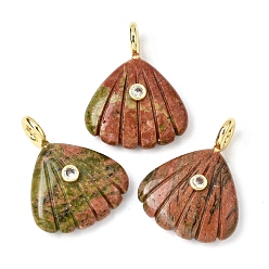 Унакит Резные подвески из натурального унакита, Подвески в форме ракушки с латунными микрофибровыми вставками., золотые, стойки покрытие, 28~29x22.5x7.5~8 мм, отверстие : 3.5 мм