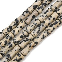 Dalmatiner Jaspis Natur Dalmatiner Jaspis Perlen Stränge, Bambus-Joint, 12x5 mm, Bohrung: 1.2 mm, ca. 37 Stk. / Strang, 14.96'' (38 cm)
