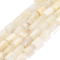White Moonstone Natural White Moonstone Beads Strands, with Seed Beads, Faceted Column, 9~11x6~7.5x6~7.5mm, Hole: 1.2mm, about 30pcs/strand, 15.16~15.55 inch(38.5~39.5cm)