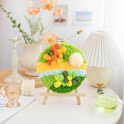 Разноцветный Набор для вязания крючком из мха своими руками, включить инструкции, крючок для вязания, пяльцы, иголка и нитка, красочный, 200 мм