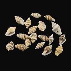 Pale Goldenrod Spiral Shell Charm Pendants, Pale Goldenrod, 13~19x6~10x6~7mm, Hole: 1mm, about 1485pcs/500g