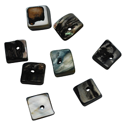Black Natural Freshwater Shell Beads, Dyed, Black, Size: about 9mm long, 8mm wide, 3mm thick, hole: 2mm, about 1350pcs/500g