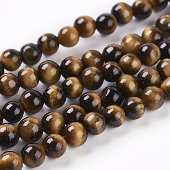 Tiger Eye Natural Tiger Eye Beads Strands, Round, 8mm, Hole: 1mm about 24pcs/strand, 8 inch