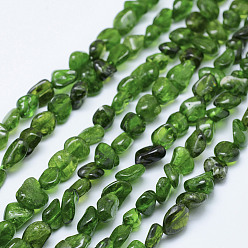 Diopside Natural Green Diopside Beads Strands, Tumbled Stone, Nuggets, 5~11x5~7mm, Hole: 1mm, 15.3 inch~15.7 inch(39~40cm)