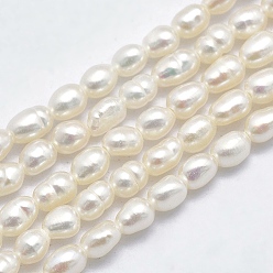 Beige Natural Cultured Freshwater Pearl Beads Strands, Oval, Beige, 3.5~6x3~4.5mm, Hole: 0.8mm, about 68~70pcs/strand, 13.78~14.17 inch(35~36cm)