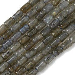 Labradorite Chapelets de perles labradorite naturelle , colonne, 5.5~6.5x4.5mm, Trou: 1.2mm, Environ 69 pcs/chapelet, 14.96~15.16'' (38~38.5 cm)