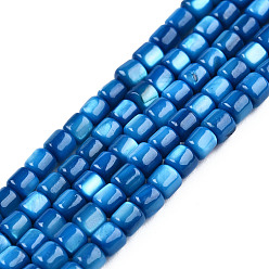 Dodger Blue Natural Freshwater Shell Beads Strands, Dyed, Column, Dodger Blue, 3.5x3~3.5mm, Hole: 1mm, about 111~117pcs/strand, 14.37 inch~14.65 inch(36.5~37.2cm)