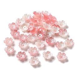 Помидор Акриловый шарик крышки, 5-лепестков цветка, помидор, 11x11x4 мм, отверстие : 1.6 мм, 4166 шт / 500 г