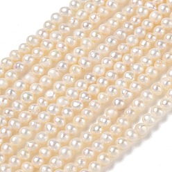 Beige Natürliche kultivierte Süßwasserperlenperlenstränge, Note 2a+, Kartoffel, beige, 3.5~3.8 mm, Bohrung: 0.5 mm, ca. 101~107 Stk. / Strang, 13.39~13.98'' (34~35.5 cm)